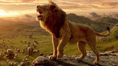 aslan kral hayvanları
